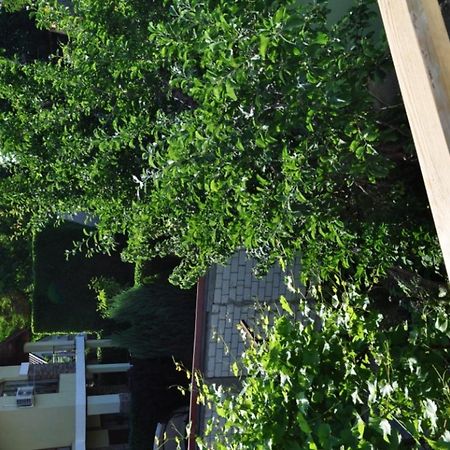Dacha V Arkadii Ξενοδοχείο Οδησσός Εξωτερικό φωτογραφία