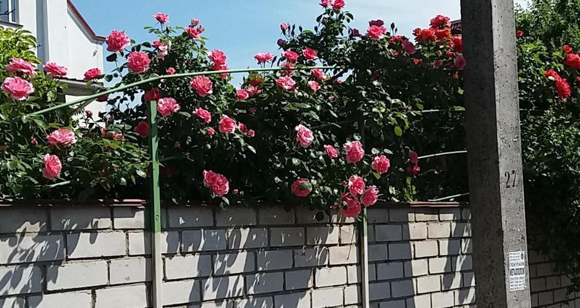 Dacha V Arkadii Ξενοδοχείο Οδησσός Εξωτερικό φωτογραφία